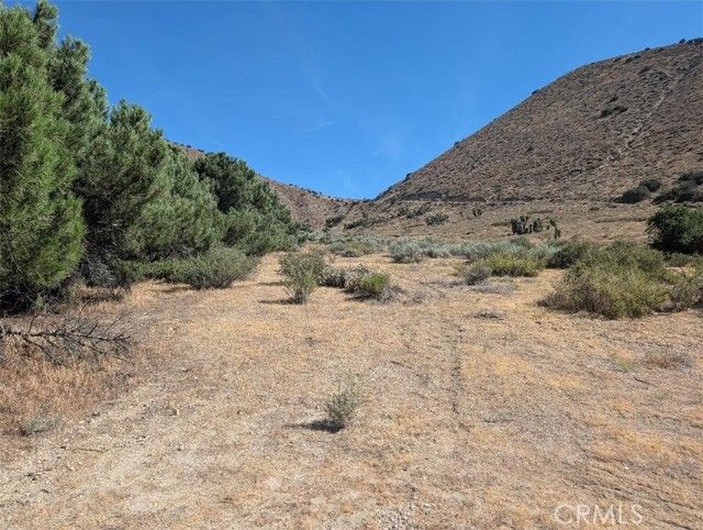 12 Paramount, Phelan, CA 92371