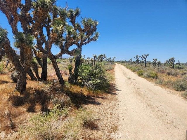 Ave X6 212, Llano, CA 93544