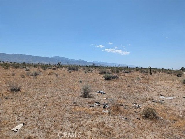 5 Dos Palmas, Pinon Hills, CA 92372